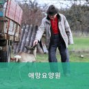 애망요양원 네이버블로그