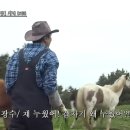 백마