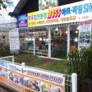 나경훈의모스플라워 이미지