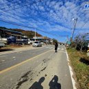 완주한우프라자 | 2025 상주곶감마라톤 풀코스 후기