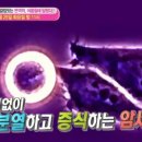 암 예방에 정말 좋은 식품 이미지