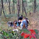 함라산둘레길 이미지