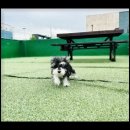 컴투펫 위탁보호센터 인천점 이미지