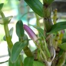 연홍농장 이미지