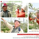 부흥사과농원