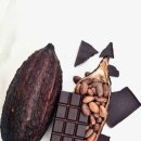 헬스플러스 이미지