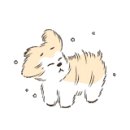 뽀독 애견 미용 이미지