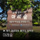 시선목장 | 제주 콩콩팜팜 말농장 마레숲 말테라피 목장 촬영지 제주도 이광수 도경수 김우빈 후기