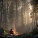 ​​곰이 등산객의 텐트 앞으로 다가왔다 — 그리고 그 발치에 떨어뜨린 것이 모든 것을 바꿔 놓았다 이미지