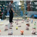 토끼게임장 이미지