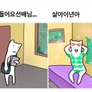 러키 이미지