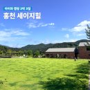 남노일로 | 홍천 세이지힐 캠핑장 A-14ㅣ아이와 가족캠핑 추천ㅣ실내놀이터, 수영장 (8월31일까지 반값할인)