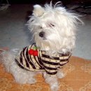 동삼3동-6 이미지