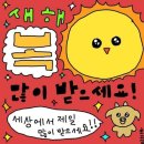 2025 겨울일상 벌써 봄이 왔다네