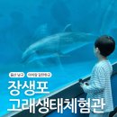 울산 남구 아이랑 갈만한곳 장생포 고래생태체험관