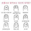 손톱모양 이미지