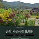 [순창 농촌힐링여행] 농업치유 테라피치유농원, 동양철학 그리고 행복 담소 - 뜨레마을 뜨레팜