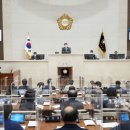 253 이미지