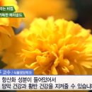 메리골드 - 미추홀구 주안로 86 | 메리골드