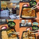 나리타공항 맛집 100년 장어덮밥 맛집 카와토요 솔직후기