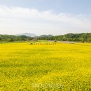 고석정광장 이미지