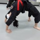 용인대 수 합기도장 이미지