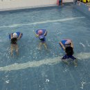 🏊‍♂️신나는 원더pool노리(수영)🏊‍♂️ 이미지