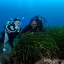 유서진 카카오 검색결과