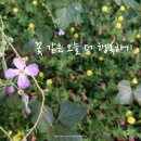 오늘더 이미지