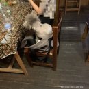 수카빵