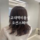 OCEANS HAIR | 교대미용실 오션스헤어(Oceans Hair) 모발클리닉 후기