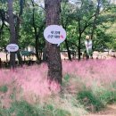 낭만사진관 이미지