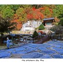 성지사