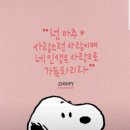리틀파티쉐