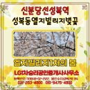 LG1차승리공인중개사사무소 이미지