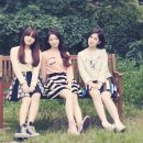 몽땅컴퍼니 이미지