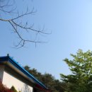 금오민박 - 정선군 백두대간로 300 | 금오민박