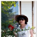 오아시스펜션 이미지