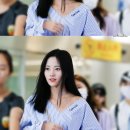 키쿠 이미지