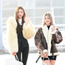 예쁨더하기 이미지