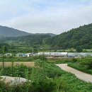 고향풍경 이미지