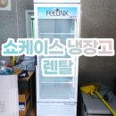 가나에스엔티
