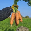 평대농장 이미지