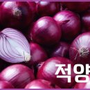 적 이미지
