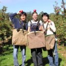 한국돈농장 이미지