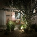 프로퍼밀도 이미지