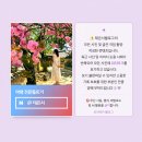 문장로-11 네이버블로그