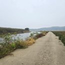 성덕우체국 이미지