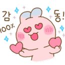 세종의 아침 태권도 이미지