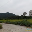 우번골 Daum카페